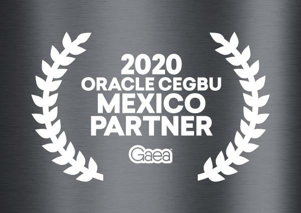 Oracle CEGBU Partner, CEGBU Mexico Partner 2020